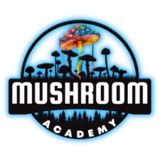 🍄 Mushroom Academy