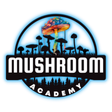 🍄 Mushroom Academy