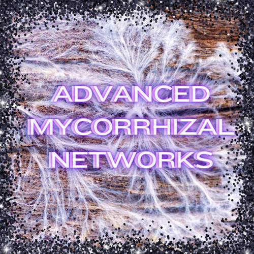 Advanced Mycorrhizal Networks