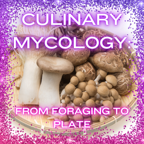 Culinary Mycology: From Foraging to Plate