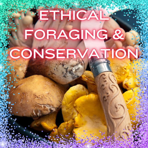 Ethical Foraging and Conservation