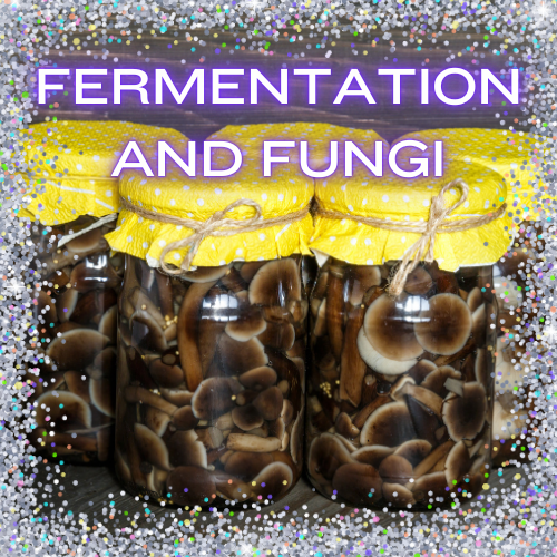 Fermentation and Fungi