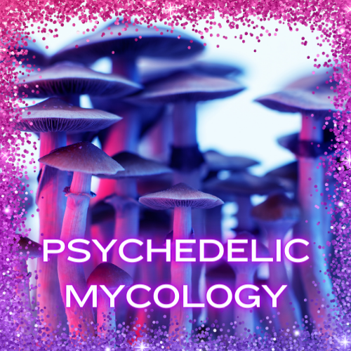 Psychedelic Mycology
