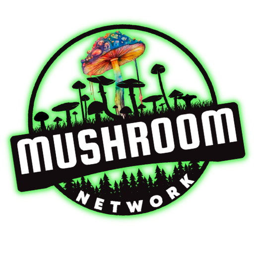 TMN Logo