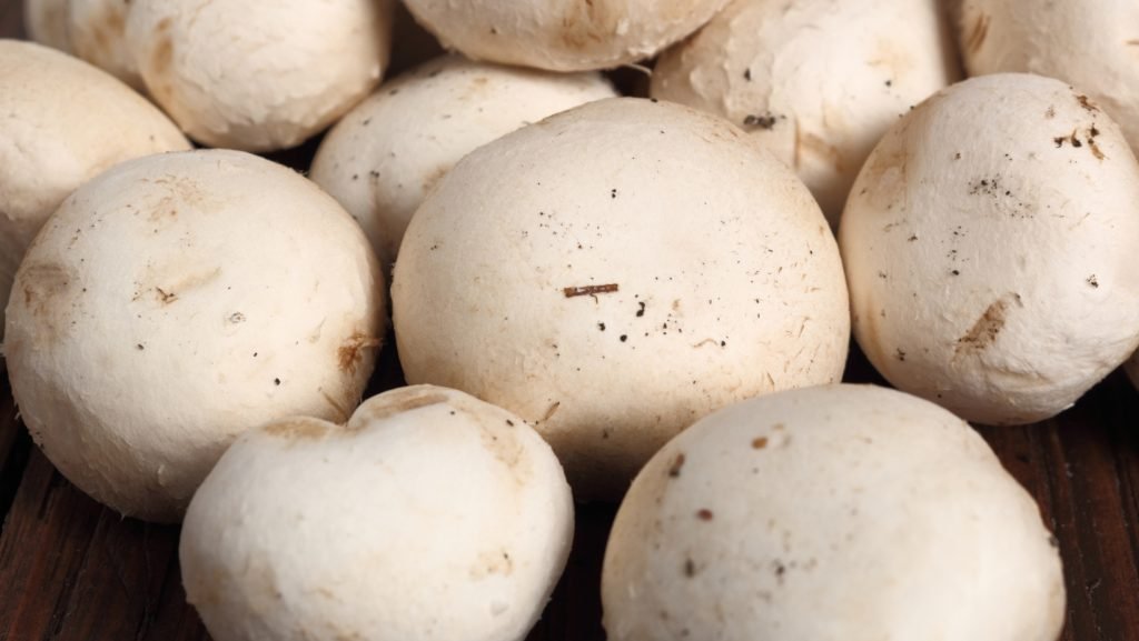 Unveiling the Health Benefits of the Humble Button Mushroom