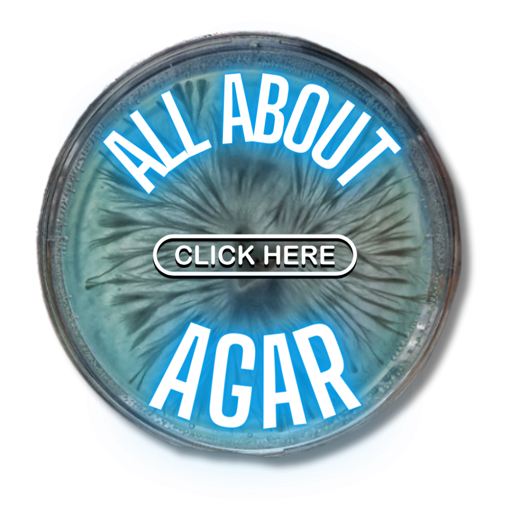 welcome-to-all-about-agar-on-the-mushroom-network-the-mushroom