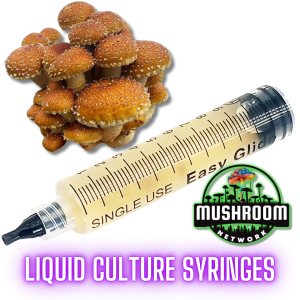 Chestnut Mushroom (Pholiota Adiposa) | Liquid Culture Syringes