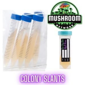 Colony Slants 🪽