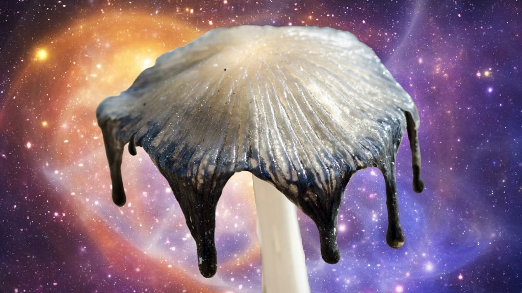 The Art of Mycoremediation: Mushrooms as Nature’s Cleanup Crew