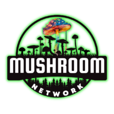 The 🍄 Mushroom Network