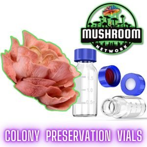 Pink Oyster (Pleurotus Djamor) | Colony Preservation Vials