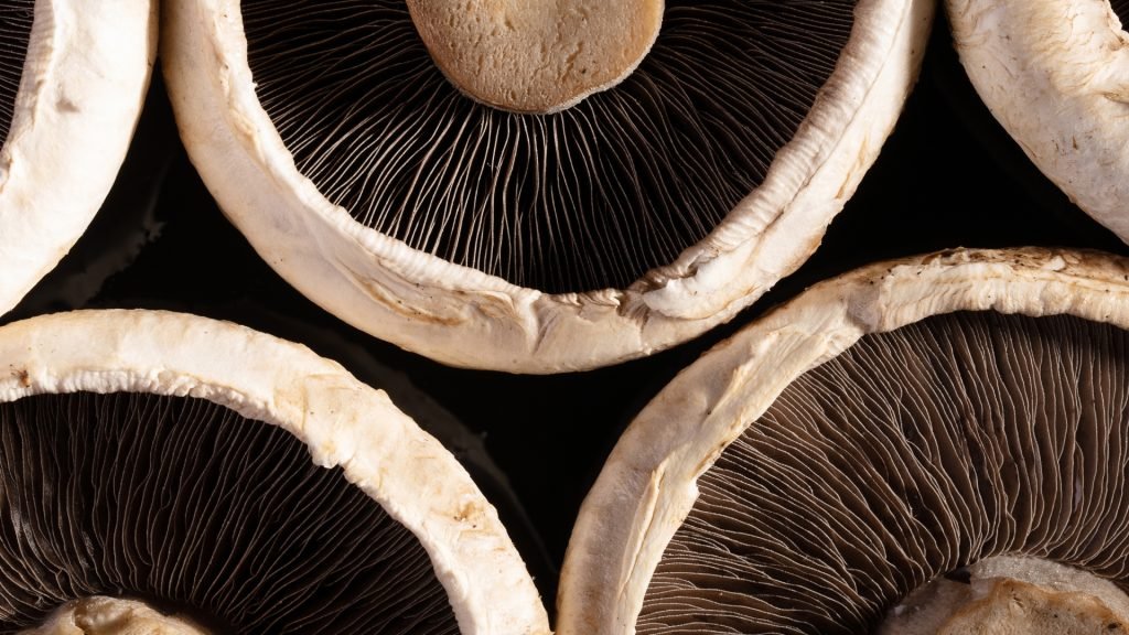 The Sunlit Superfood: Boosting Vitamin D Intake with Mushrooms