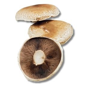 Portobello (Agaricus Bisporus)