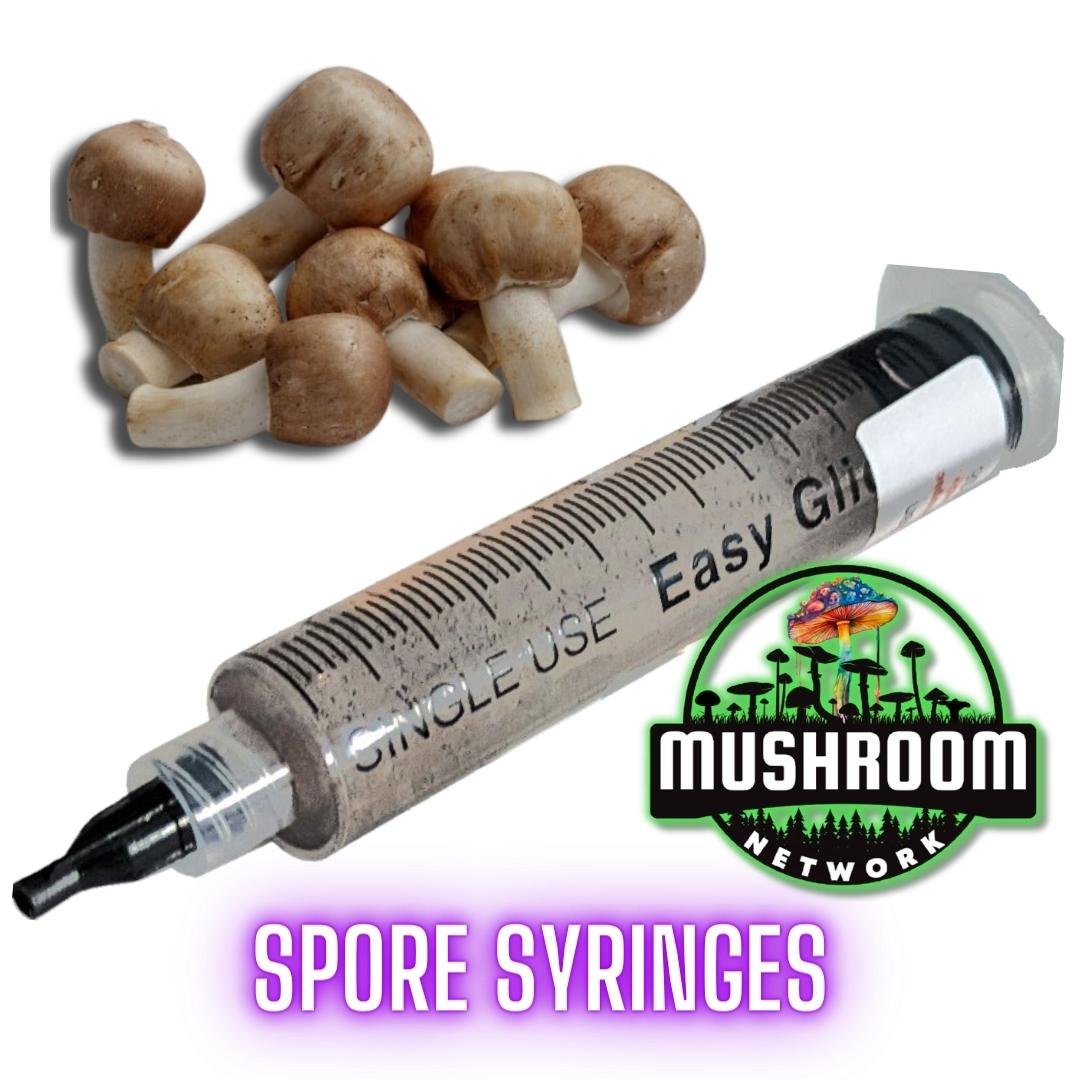 Almond Mushroom (Agaricus Subrufescens) | Spore Syringes - The 🍄 ...