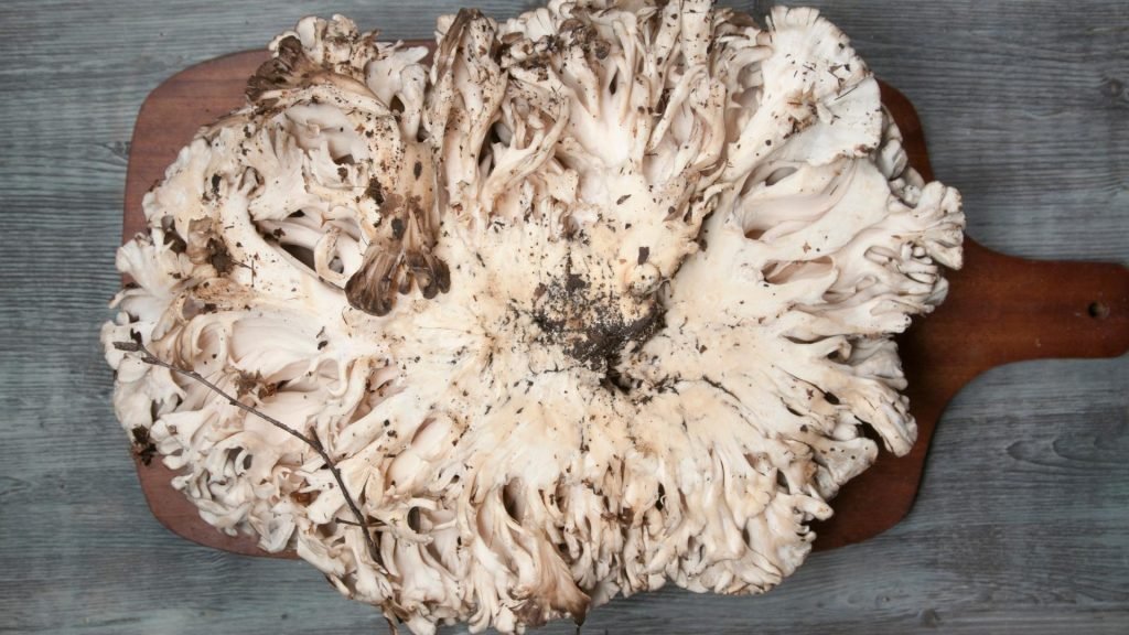 From Forest to Plate: The Culinary Delights of Hen Of The Woods