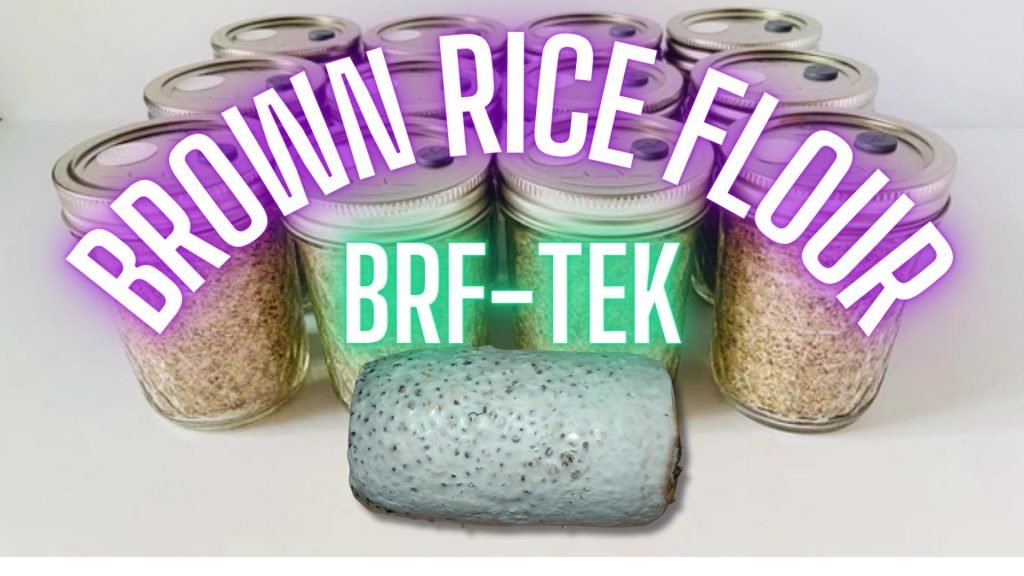 Brown Rice Flour (BRF) TEK Guide for Mycology