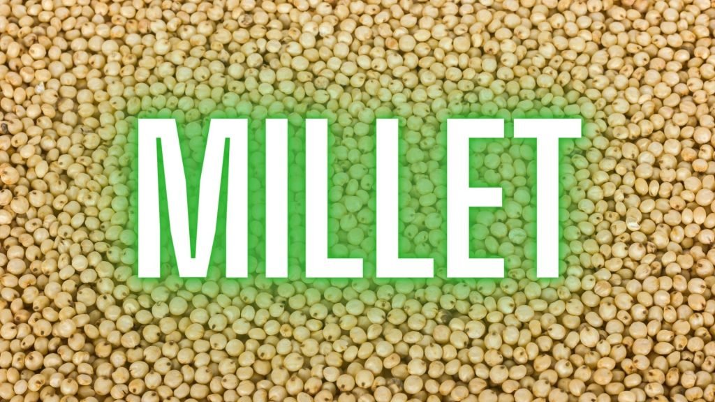 Millet TEK for Mycology: A Comprehensive Guide